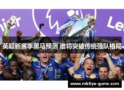 英超新赛季黑马预测 谁将突破传统强队格局