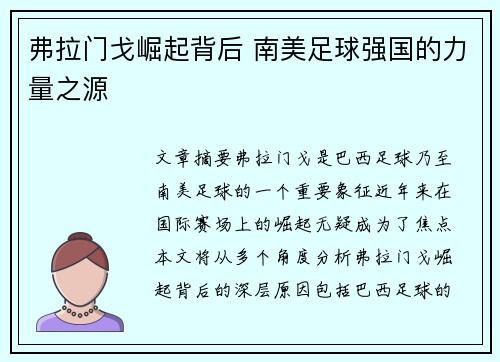弗拉门戈崛起背后 南美足球强国的力量之源