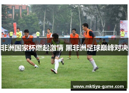非洲国家杯燃起激情 黑非洲足球巅峰对决